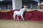 SBM_05082