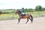 BPP_2033