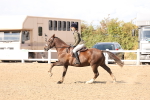 SBM_07367