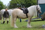 Brechin Castle Charity show 2025 portfolio