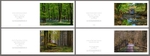 4 Seasons Landscape No.2