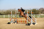 SBM_000492