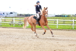 SBM_001748