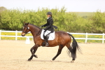 SBM_007425