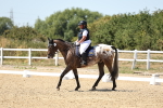 SBM_002637