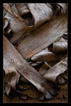 Paper Bark