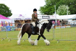 SBM_01156