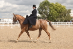 SBM_06347