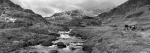 Watkin Path b/w