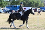 WJ6_8211