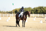 SBM_016893