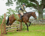 Dunblane show-289