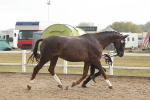 SBM_07724