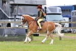 SBM_08744