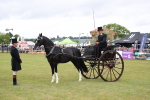 SBM_05780