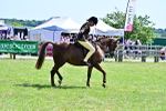 SBM_13971