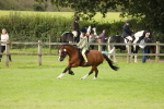 SBM_71544