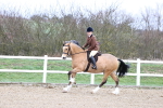 SBM_006954