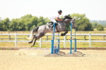 SBM_002047
