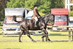 SBM_12331