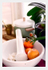 Windowsill Orangerie with Oranges and Clivia Fruit 1