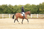 SBM_001613