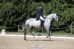 167-COR_Y_TARAN-Toots_Bartlett-WEDTrotUp+DR portfolio