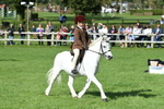 SBM_50276