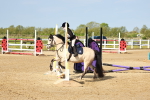 SBM_006244