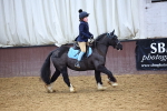 SBM_000223