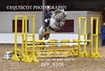 BPP_8306