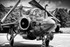 No.0013. Bruntingthorpe Bucc