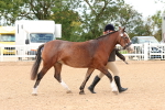 SBM_11927