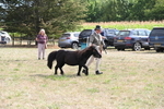 WJ6_7034