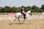 SBM_004197