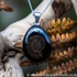 jpai 188 Whitby Jet & Ammonite Inlay
