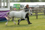 SBM_00520