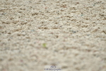 230708A-120240-02697