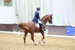 SBM_006067