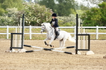 SBM_006440