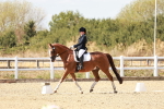 SBM_019243