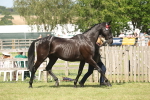 SBM_09086