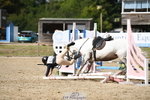 260829A-152840-32710