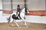 BPP_0419