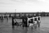 Sheltered Waters