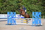 I-419-Lizzie.Luxton-HEIDI'S.PRINCE.CHARMING portfolio