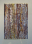 Bark study (1999)