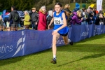Falkirk25-910236
