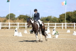 SBM_013223