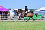 SBM_18272